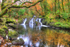 Waterfall at Glengarriff Forest