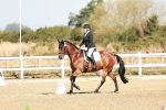 SBM_016912