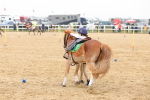 SBM_004354