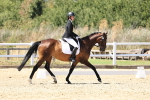 SBM_002591