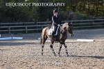 BPP_9561