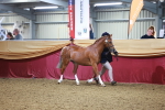 SBM_14666