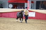 SBM_17368