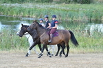 WJ7_8360