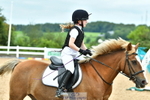 Showjumping Competition portfolio