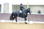 SBM_002330