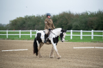 SBM_003439