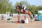 Cls 18 Snr British Novice and 90cm Open portfolio