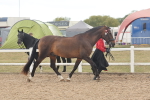 SBM_07635
