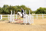 SBM_001261