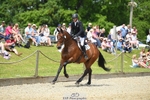 354-TREWORDER-Michael_Owen-SUNTrotUp+SJ portfolio