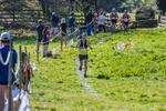 The Finish-2014