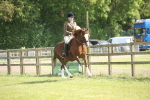 SBM_09556