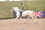 Clear Round & Cls 1 Brit Nov 90cm portfolio