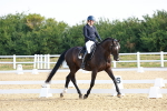 SBM_008271