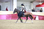 SBM_10270