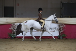 SBM_02037
