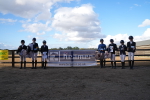 SBM_008339