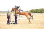 SBM_023574