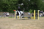 WJ6_1291