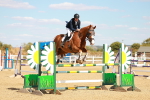 SBM_007536