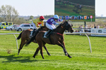 080426-Race 4-Evocative Spark-0356