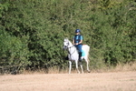WJ6_6699