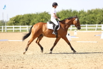 SBM_010243
