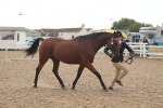 SBM_07620