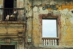 Cuba, 2005
