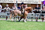 SBM_05753