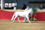 SBM_02239