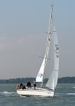 060602 FLYING FISH GBR8548T IMG_7365