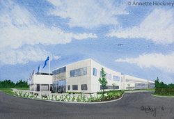 Local scenes portfolio