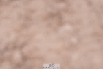 240505A-090852-04073