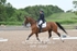 BPP_0639
