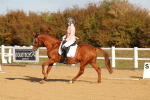 SBM_008794