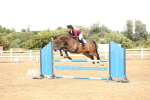 SBM_023786