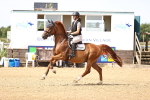 SBM_000491