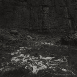 Remains of fallen sheep in disused quarry 3, Brecon Beacons, 2015