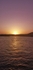 IMG_20241124_164601_BURST002