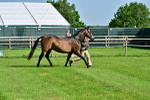SBM_00996