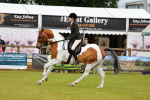 SBM_02531