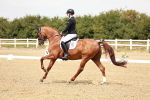 SBM_003646