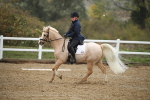 SBM_001448
