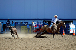 3HRodeo8-11-25_PRCASteer_01129_