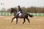 SBM_003389