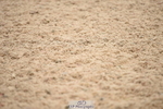230628A-100738-00032