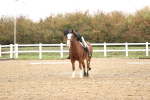 SBM_001958