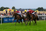 290826-Race 5-Supreme Clarets-7391